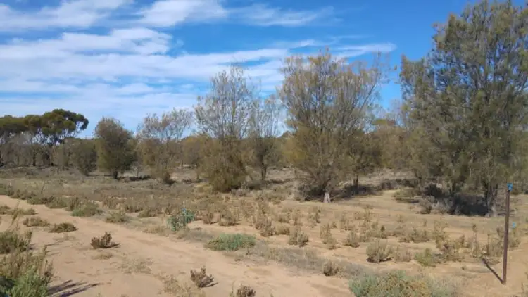 Sixth view of Homely land listing, 37 Kankine Street, Dumbleyung WA 6350