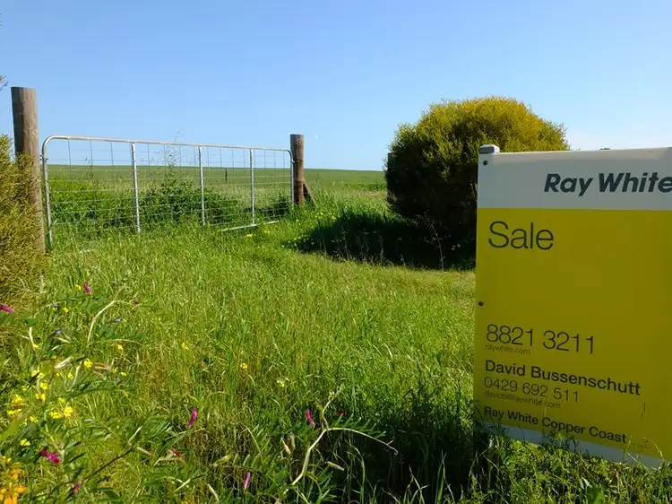Main view of Homely rural property listing, 84 Manuel Road, Kadina SA 5554