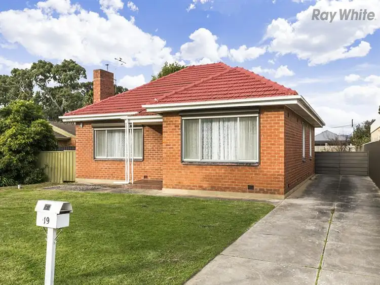 19 Clifton Street, Camden Park SA 5038