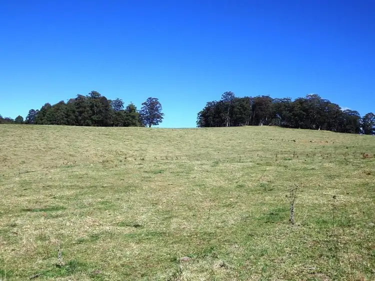 Sixth view of Homely rural property listing, 302 Cedar Log Road, Dorrigo NSW 2453