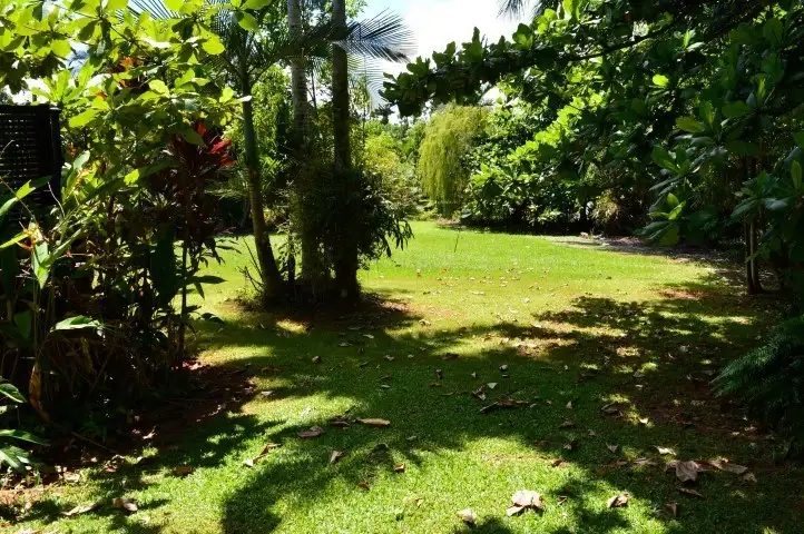 Seventh view of Homely house listing, 37 Cutten Street, Bingil Bay QLD 4852