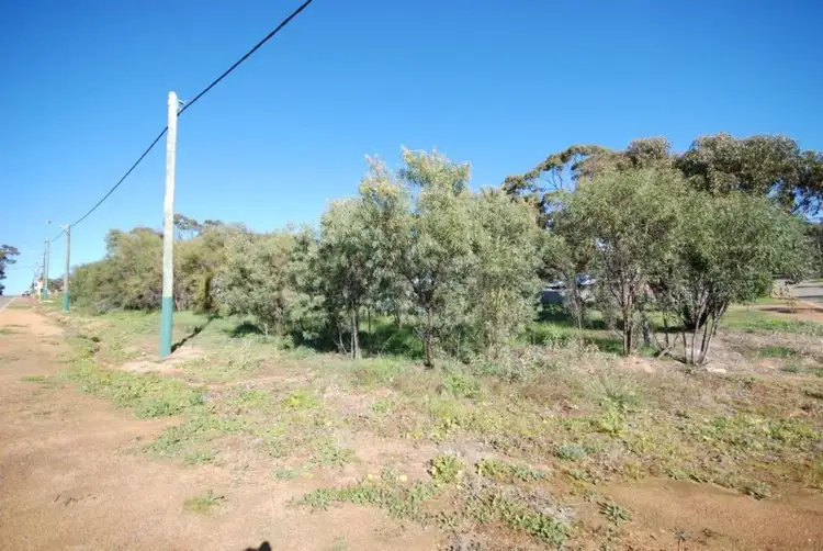 33 Eliot Street, Pingelly WA 6308