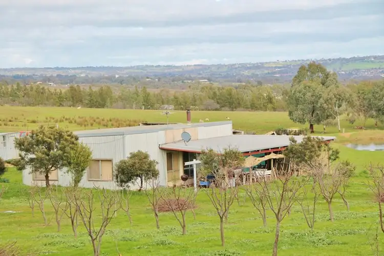 Second view of Homely house listing, 80 Apps Lane, Young NSW 2594