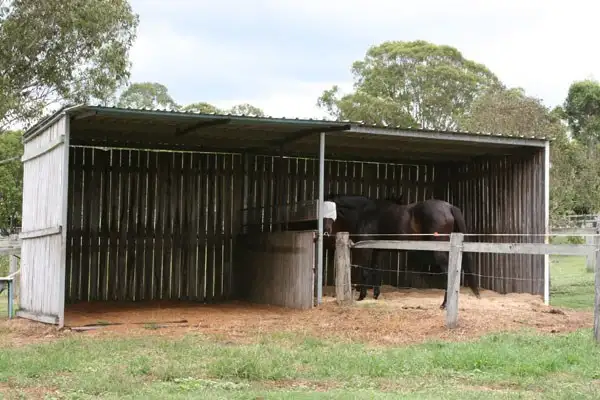 Seventh view of Homely rural property listing, 1040 Kerry Road, Kerry QLD 4285