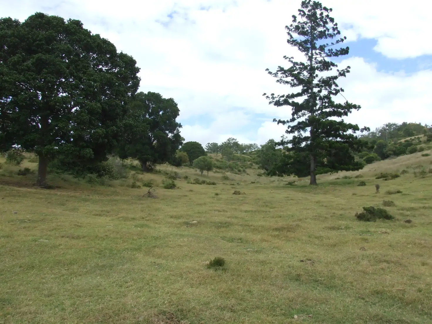 Main view of Homely rural property listing, L213 Dukes Road, Cooyar QLD 4402