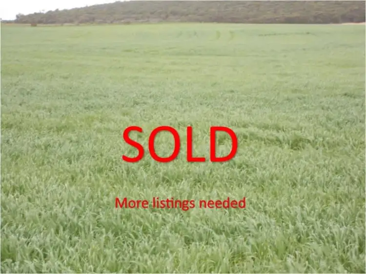 856 Parrakie North Road, Parrakie SA 5301