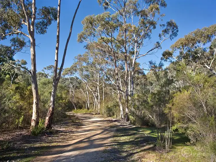 Fifth view of Homely land listing, Lot 24 and 37 Nellies Glen Road, Megalong NSW 2785