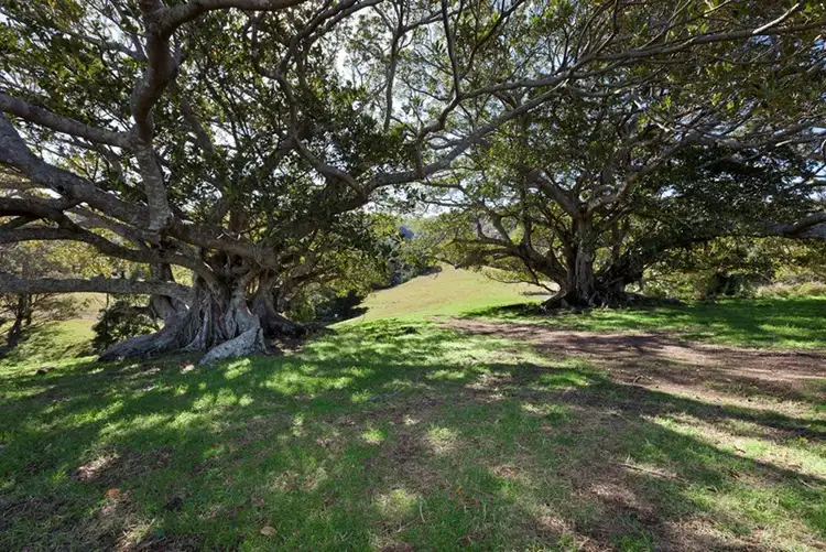 Sixth view of Homely rural property listing, Address available on request