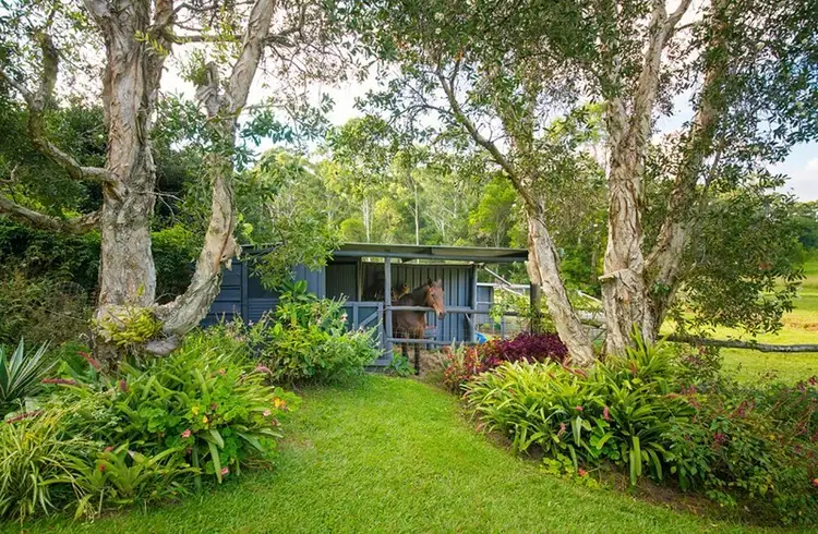 Second view of Homely rural property listing, 24 Juhles Mountain Road, Moorland NSW 2443