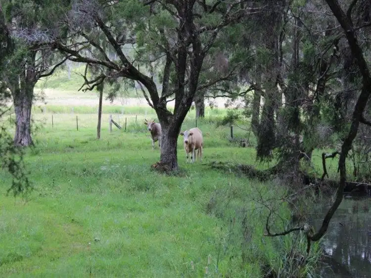 Fifth view of Homely rural property listing, 19 Chittick Access, South Gundurimba NSW 2480
