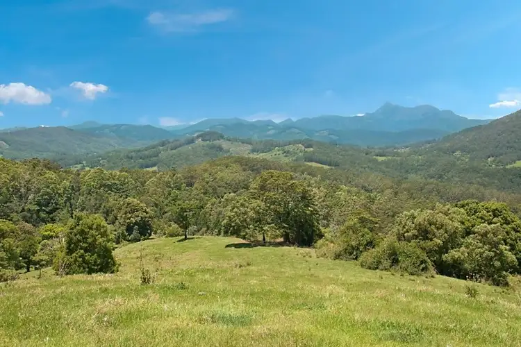 Fifth view of Homely rural property listing, 2327 Numinbah Road, Numinbah NSW 2484