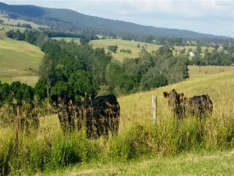 Third view of Homely land listing, 288 Glen William Road, Clarence Town NSW 2321