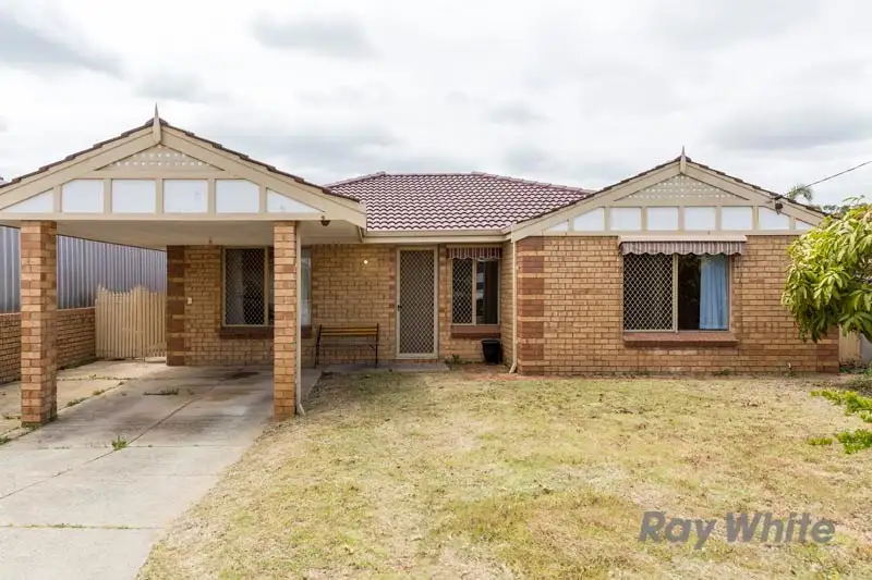 Main view of Homely house listing, 14 Gilbertson Road, Kardinya WA 6163