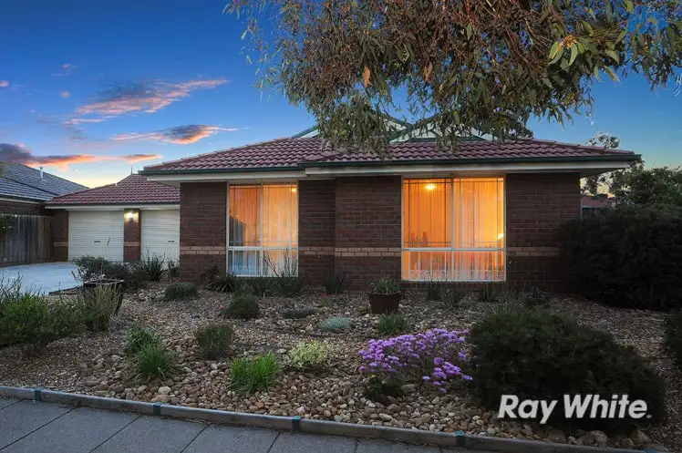 29 Paterson Drive, Lynbrook VIC 3975