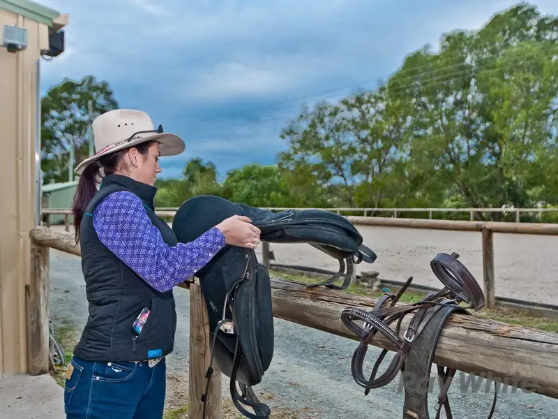 Main view of Homely house listing, 102 Watson Road, Armstrong Creek QLD 4520