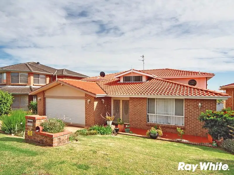Main view of Homely house listing, 12 Bandicoot Drive, Blackbutt NSW 2529