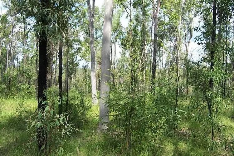 Fifth view of Homely land listing, L2-369 Fortis Creek Road, Fortis Creek NSW 2460