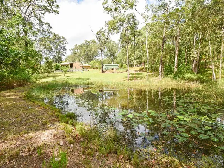 Fourth view of Homely rural property listing, 14 Parkyn Hill Place, Bli Bli QLD 4560