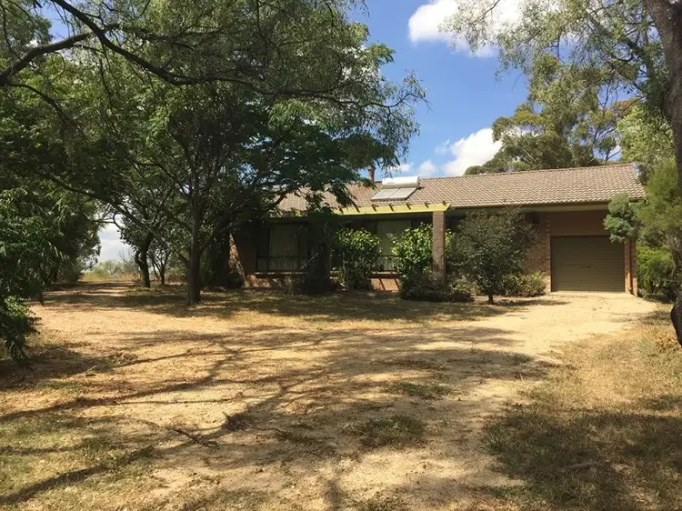 Main view of Homely house listing, 24 Queen Street, Jerrys Plains NSW 2330