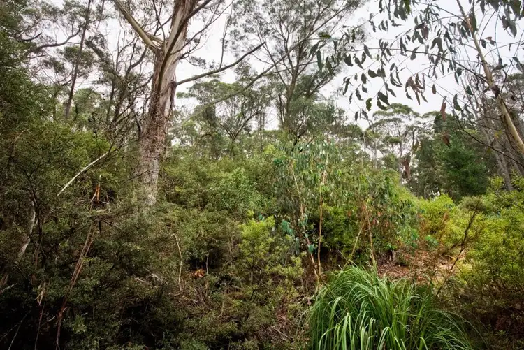 Seventh view of Homely land listing, Lot 17 Victoria Street, Mount Victoria NSW 2786