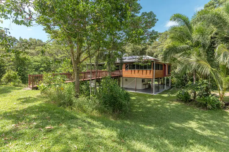 Main view of Homely house listing, 840 Cape Tribulation Road, Kimberley, Daintree QLD 4873