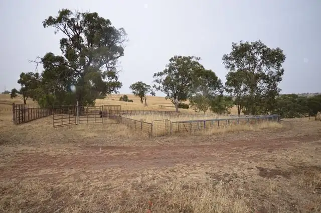 Fifth view of Homely rural property listing, "Brooklyn" Brooklyn Road, Melrose SA 5483
