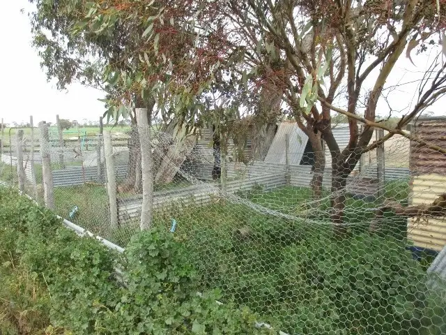 Fourth view of Homely house listing, 3110 Katanning-Nyabing Road, Katanning WA 6317