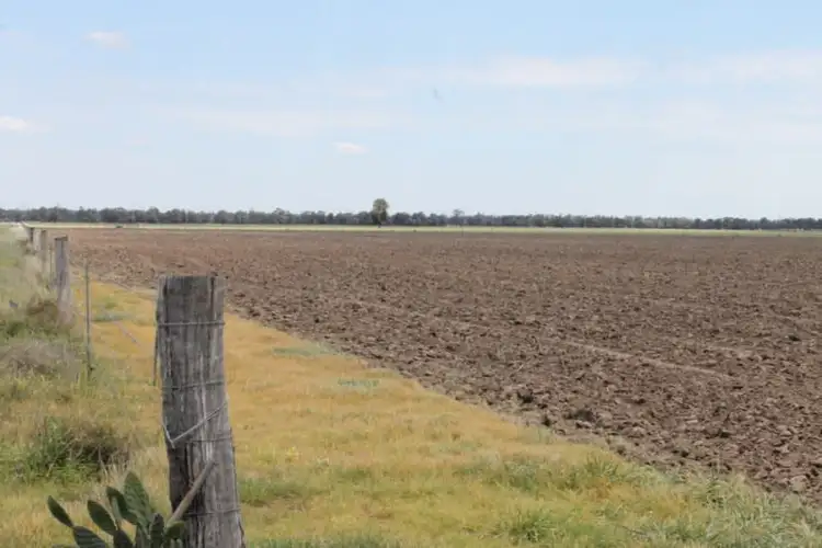 Main view of Homely rural property listing, . Millmerran-Cecil Plains Road, Cecil Plains QLD 4407