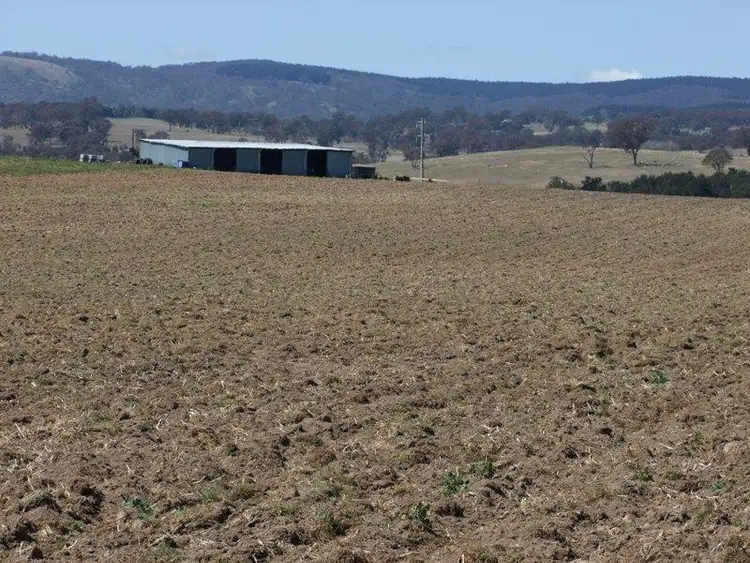 Sixth view of Homely rural property listing, 287 River Road, O'connell NSW 2795