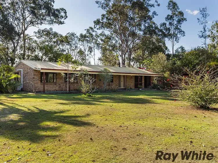 51 Sunbury Street, Buccan QLD 4207