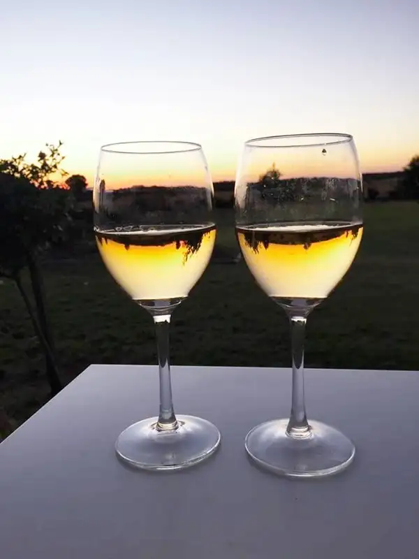 Seventh view of Homely house listing, 660 Chowilla Street, Renmark SA 5341