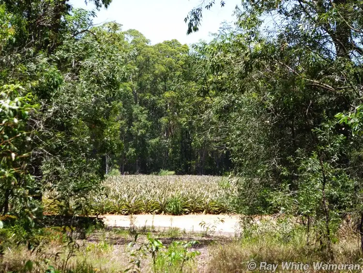Fourth view of Homely land listing, 74 Station Road, Wamuran QLD 4512