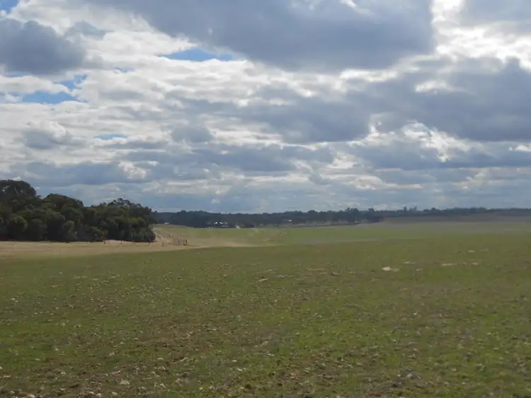 Fifth view of Homely rural property listing, 1028 Ladara Bore Road, Ki Ki SA 5261