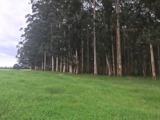 Fifth view of Homely rural property listing, West Manjimup, Waugh Road, Manjimup WA 6258