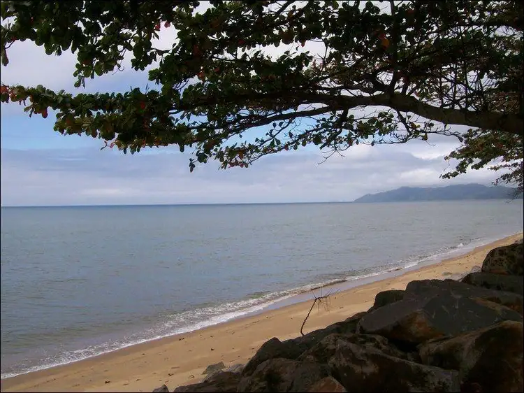 Fifth view of Homely house listing, 19 Esplanade, Flying Fish Point QLD 4860