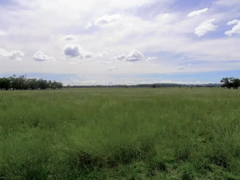 Main view of Homely rural property listing, " Pine Valley ", Terry Hie Hie NSW 2400