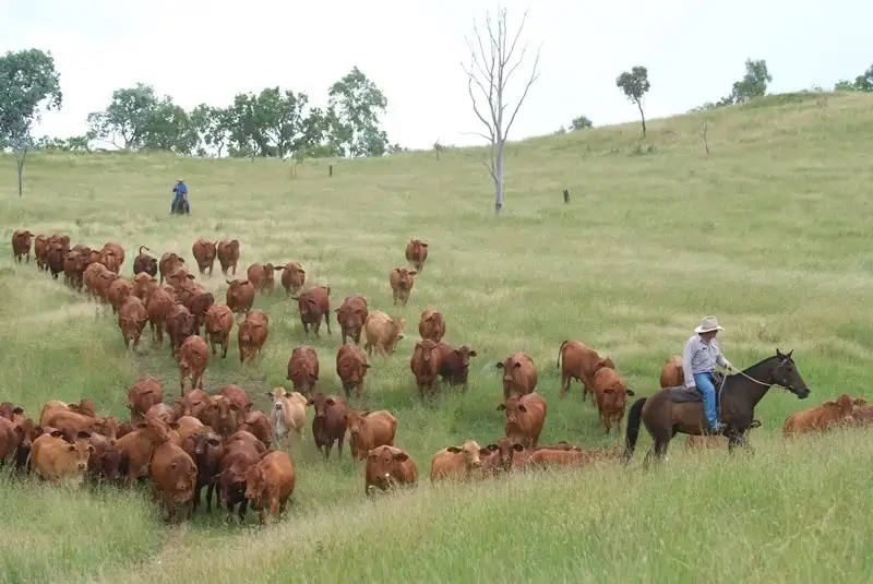 Main view of Homely rural property listing, Address available on request