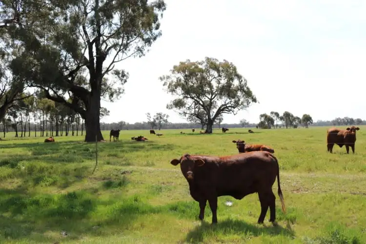 Third view of Homely rural property listing, 5500 Northern Highway, Elmore VIC 3558