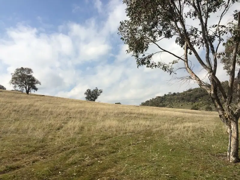 Main view of Homely rural property listing, Lot 1 Mt McDonald Road (Darbys Falls), Cowra NSW 2794