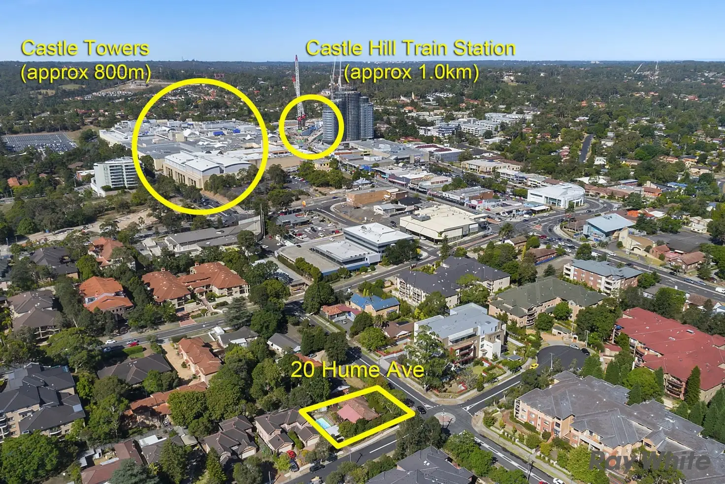 Main view of Homely house listing, 20 Hume Avenue, Castle Hill NSW 2154