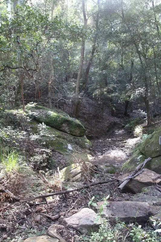 Lot 54 Putty Road, Garland Valley NSW 2330