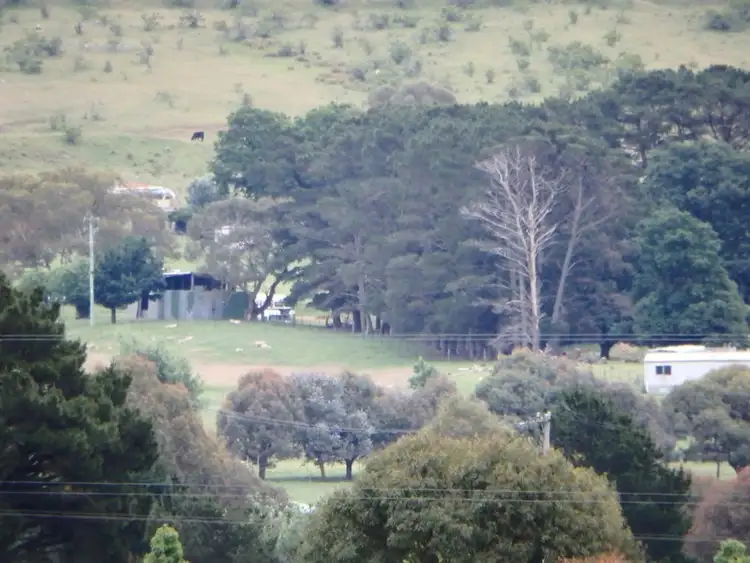 Sixth view of Homely rural property listing, 38 Warm Corner Road, Burra NSW 2620