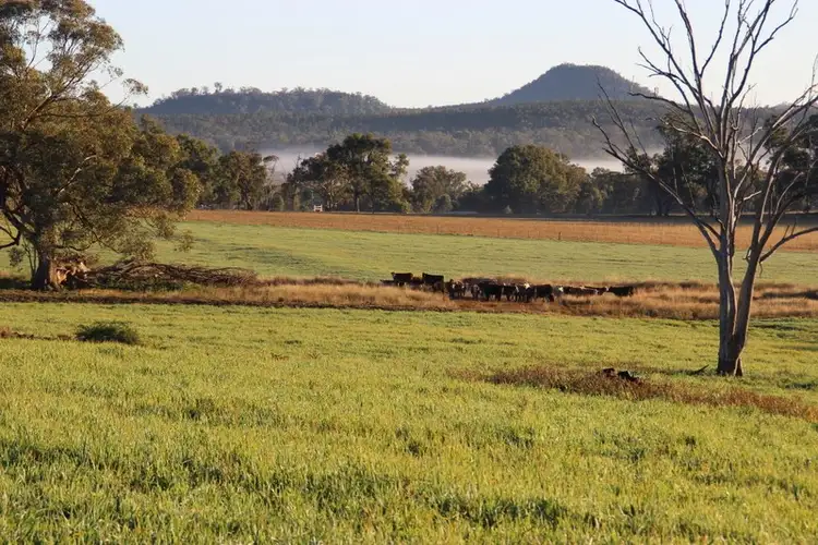 Third view of Homely rural property listing, TARWONGA River Road, Coonabarabran NSW 2357