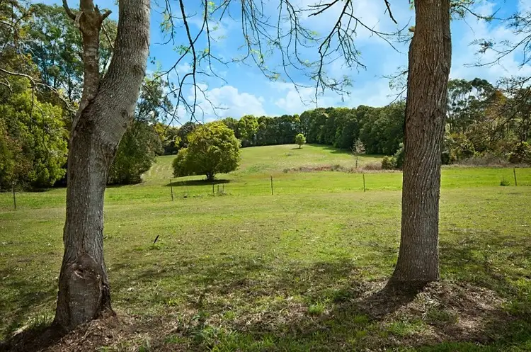 Fourth view of Homely house listing, 179 Scarrabelottis Road, Bangalow NSW 2479
