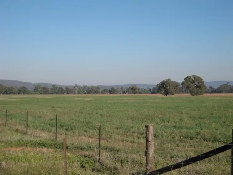 Fifth view of Homely rural property listing, 10 Eulimore Road, Eugowra NSW 2806