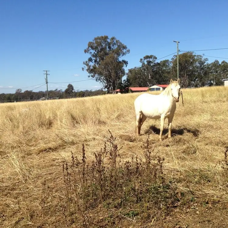 Fourth view of Homely land listing, 24-44 Seidels Road, Walloon QLD 4306