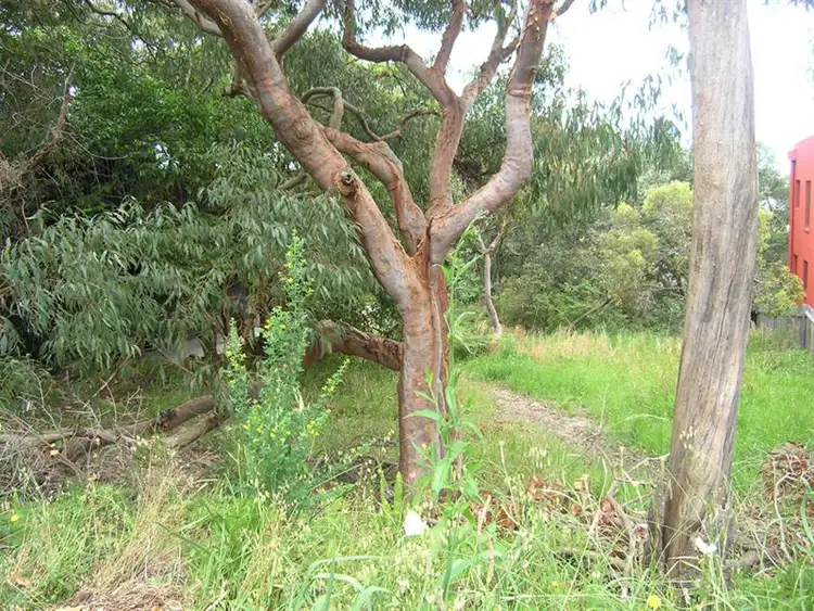Third view of Homely land listing, 33 Grandview Crescent, Killcare NSW 2257