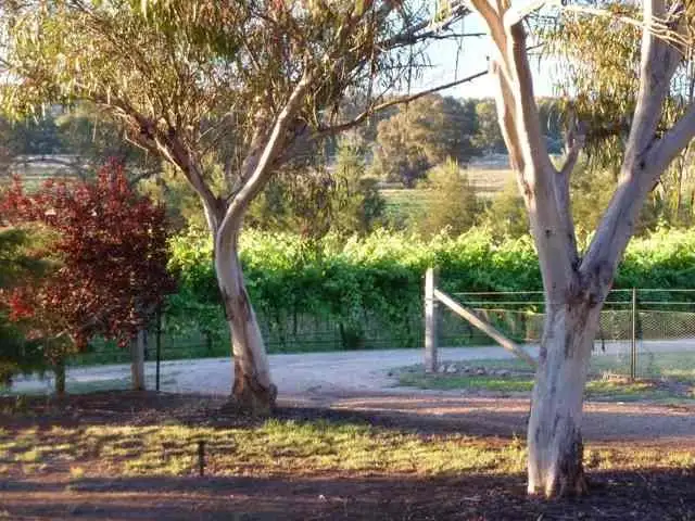 Sixth view of Homely rural property listing, 120 Carro Park Road, Cowra NSW 2794