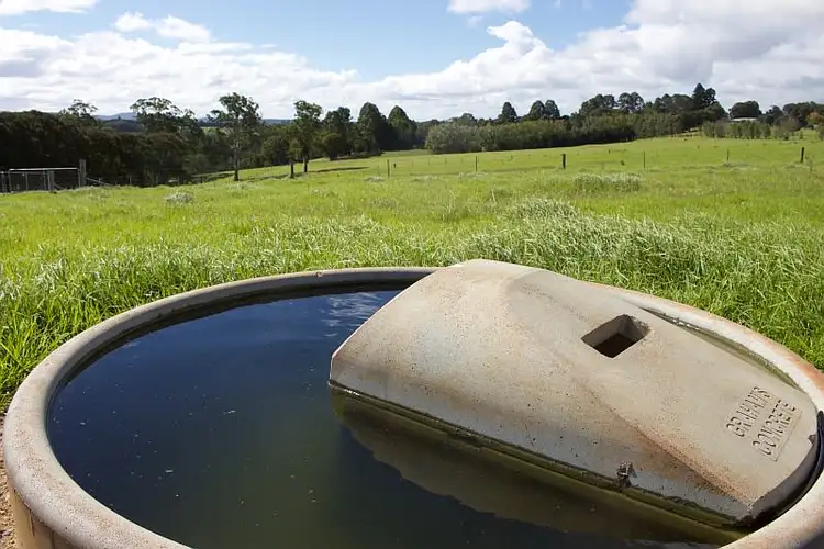 Fifth view of Homely rural property listing, 565 Old Coast Road, Dorrigo NSW 2453