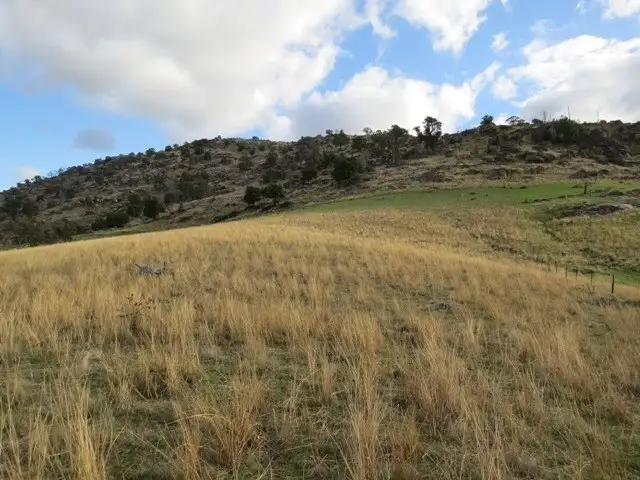 Lot 141 Tarrants Gap Road, Wyangala NSW 2808